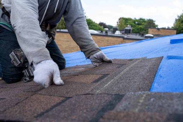 Best Commercial Roofing Services  in New Lebanon, OH